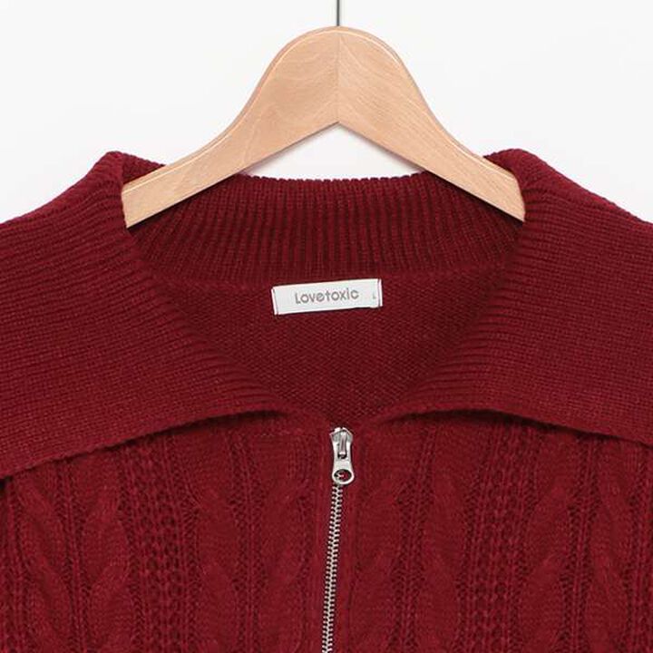Washable Cable Knit Zip Cardigan,Wine red, medium image number 11