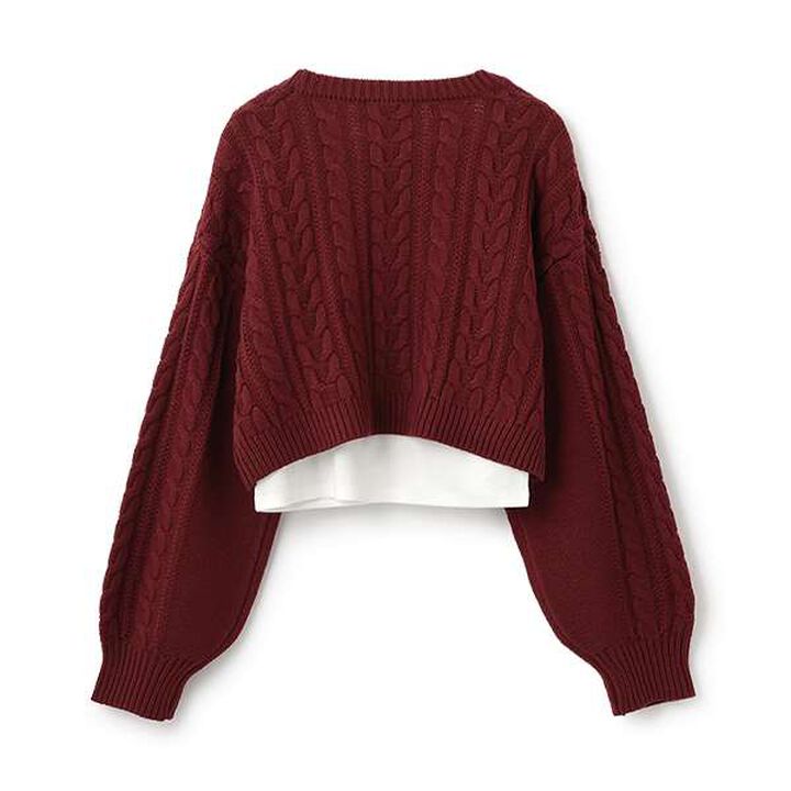 Inner Layered Cropped Knit,Deep red, medium image number 1